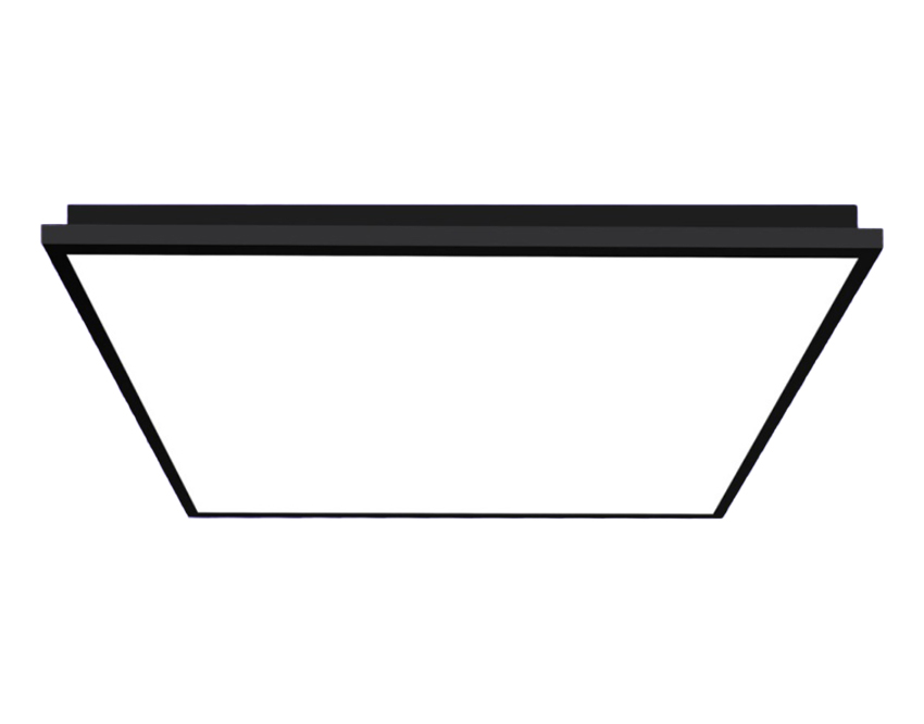 WS-DL01